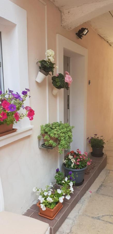 Apartment Asja Old City Center Pula Bagian luar foto